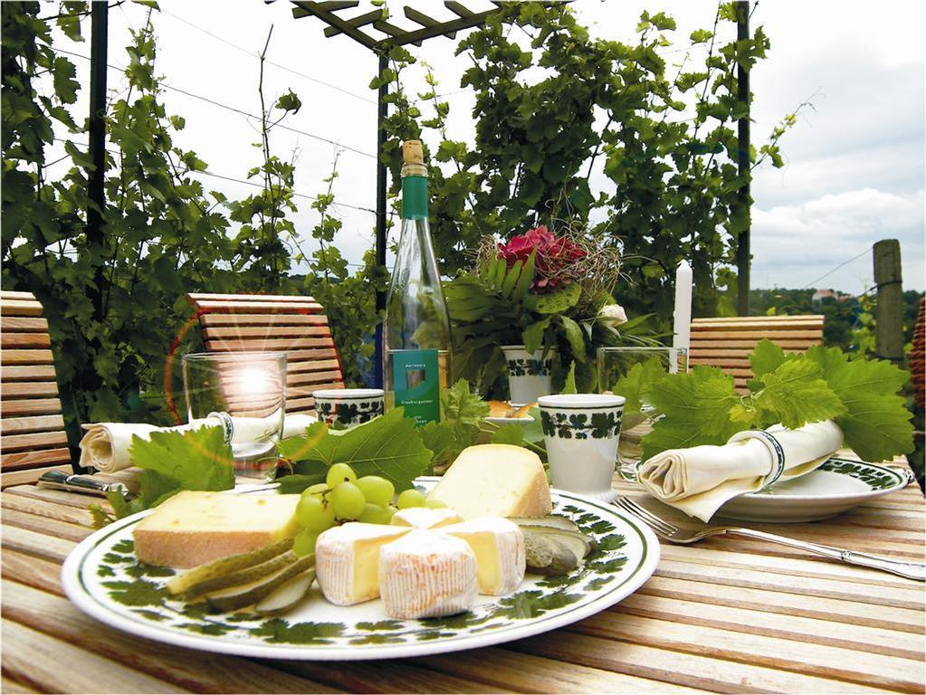 Weingut Mariaberg Apartment Meißen Exterior foto