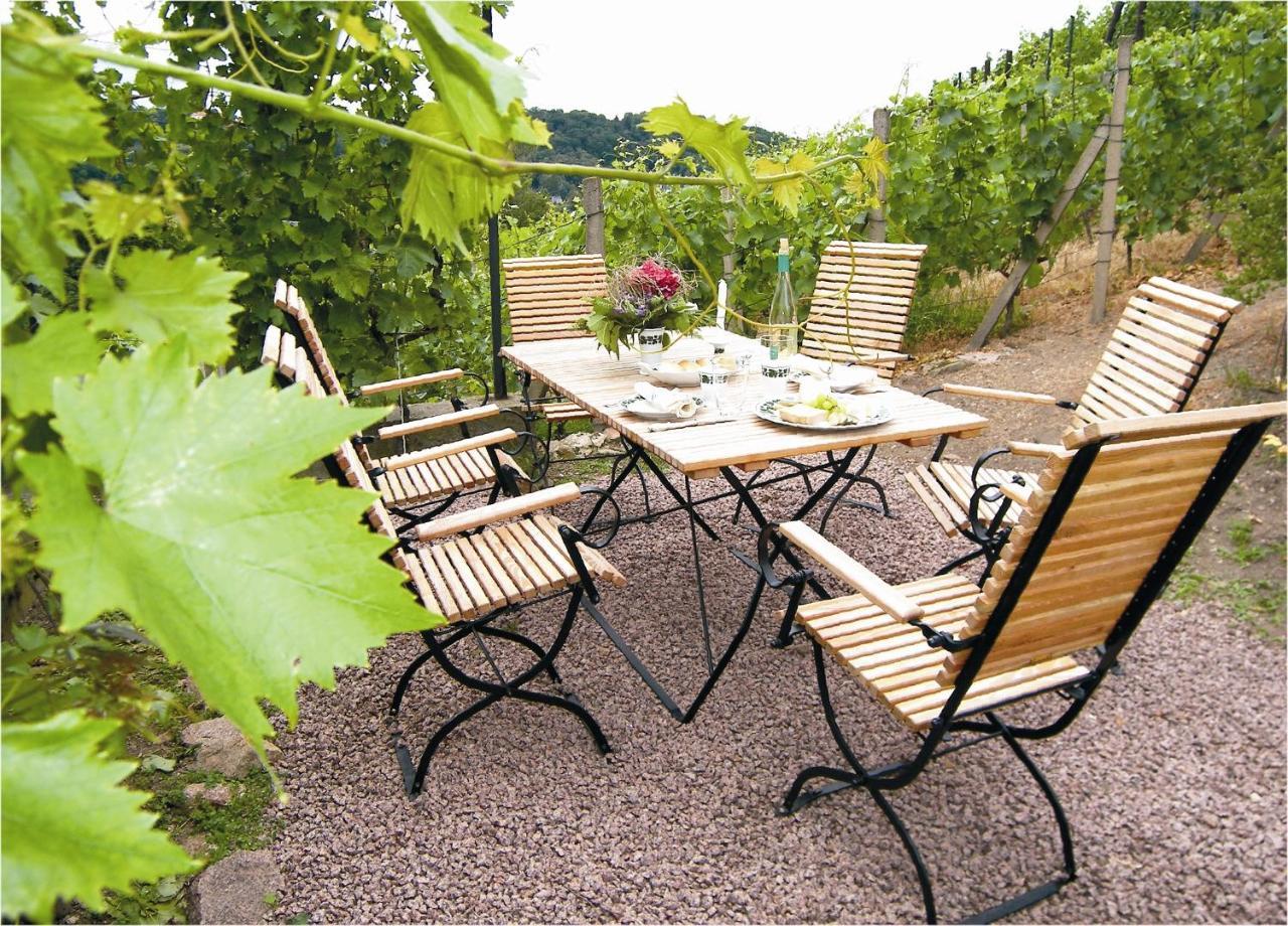 Weingut Mariaberg Apartment Meißen Exterior foto